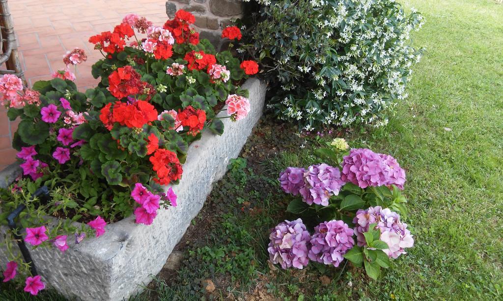 Podere Gianpaolo เปสเชีย ภายนอก รูปภาพ